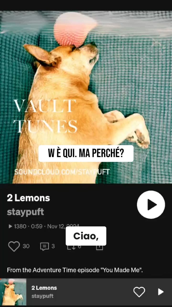 W Verde: Il Caos Digitale