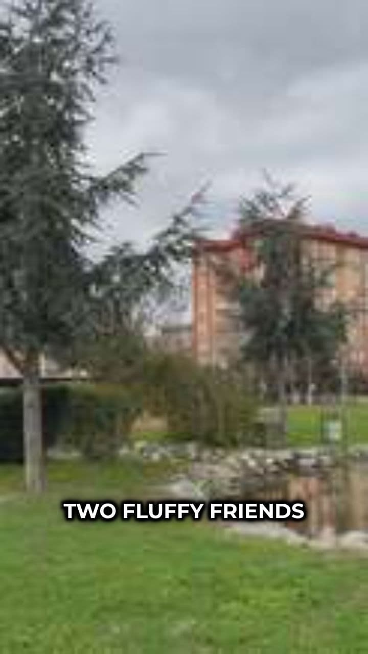 The Great Fish Heist