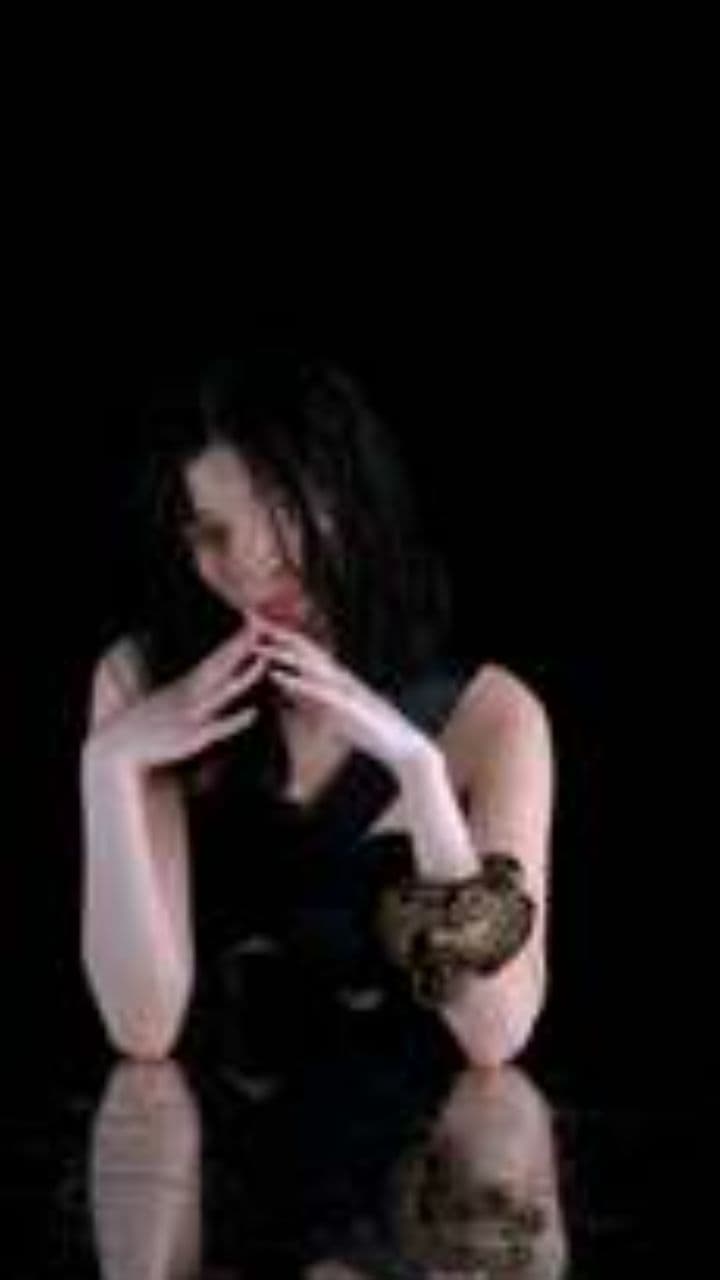 Craving Chaos Over Peace