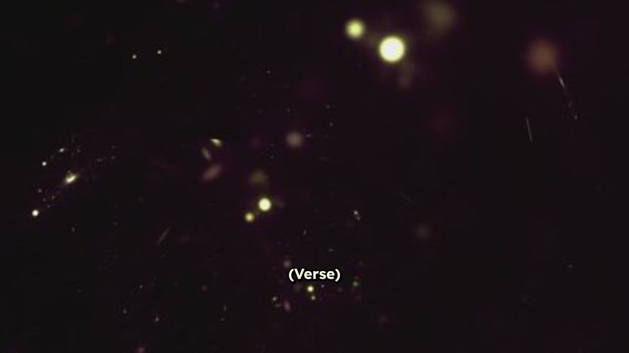 Fragments That Keep Me Alive