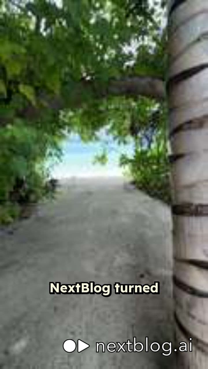 From 47 to 2,300 Visitors in Weeks