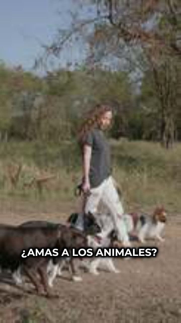 Convierte tu amor por los animales en ingresos