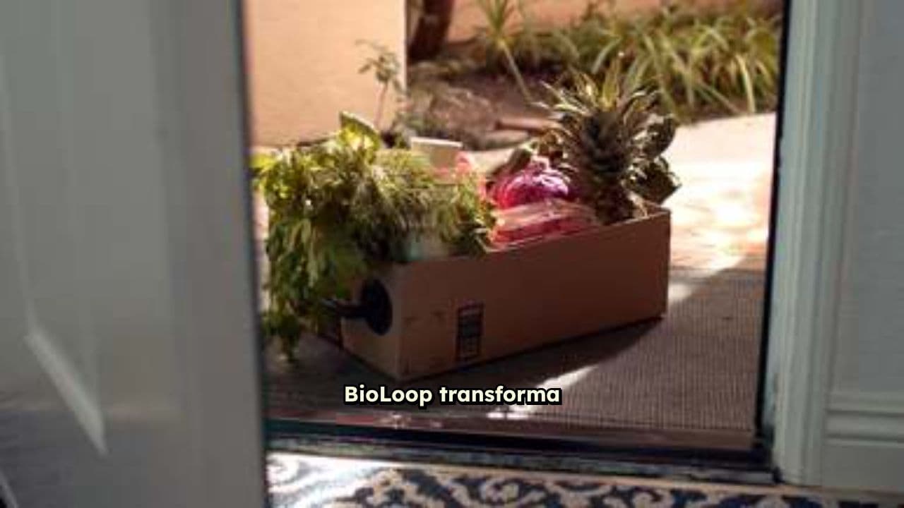 Transformando residuos en bienestar local