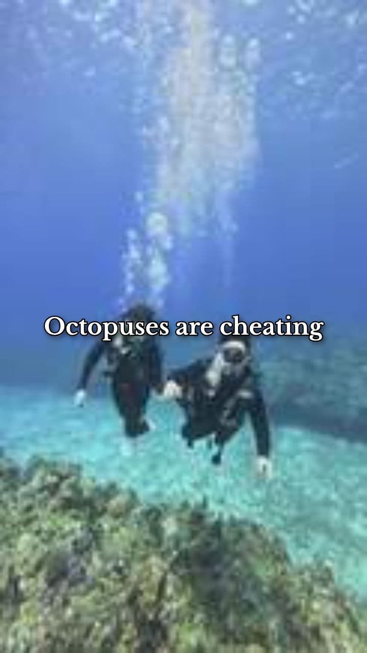 How Octopuses Rewrite Life’s Code