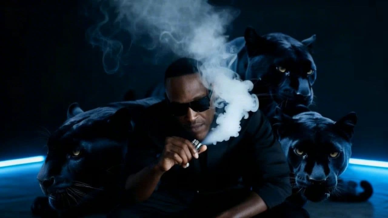 Image transform video