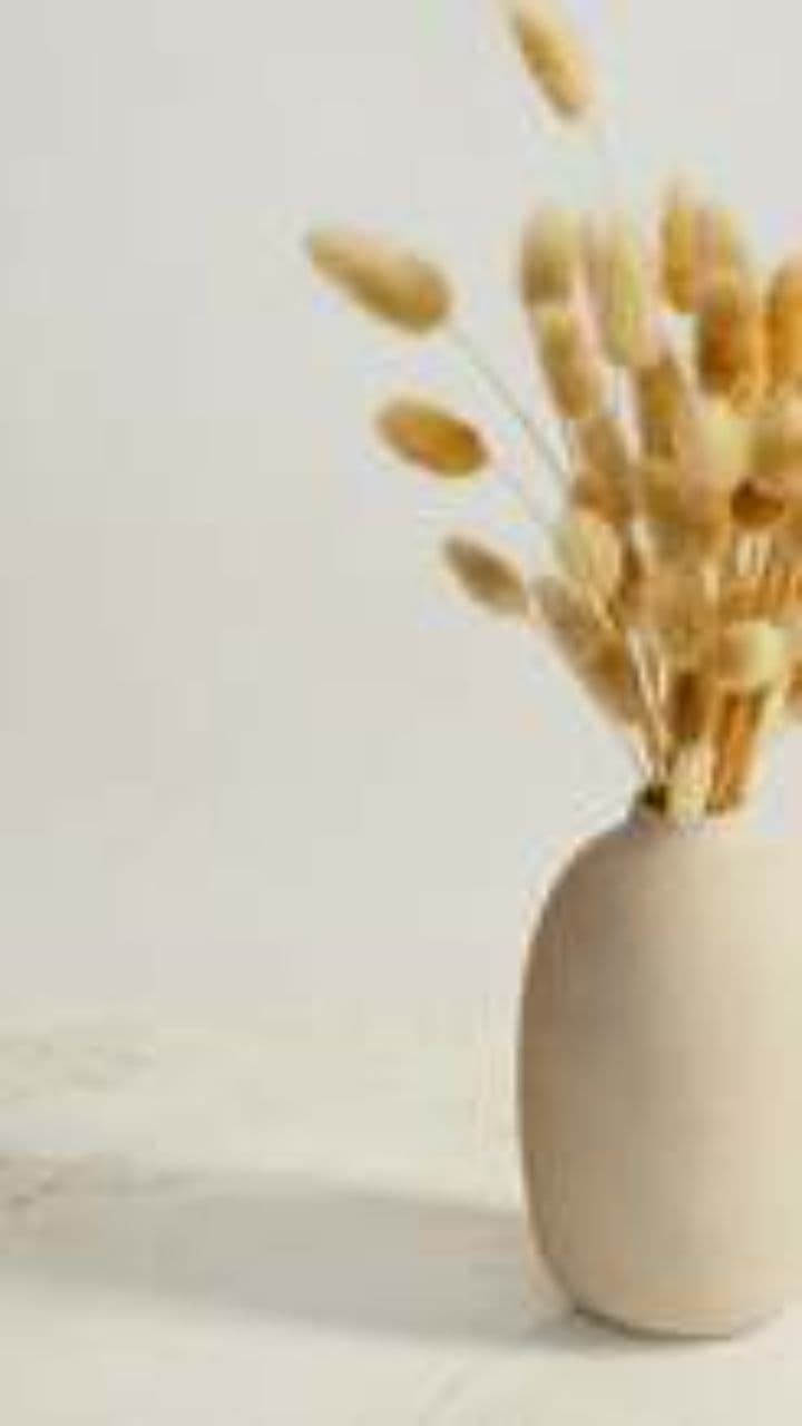 Harekrishna Vadapav Franchise Investment Details