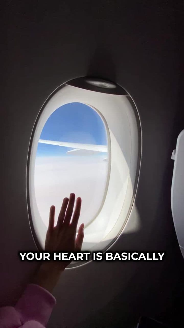 The Heart: Your Body's Engine