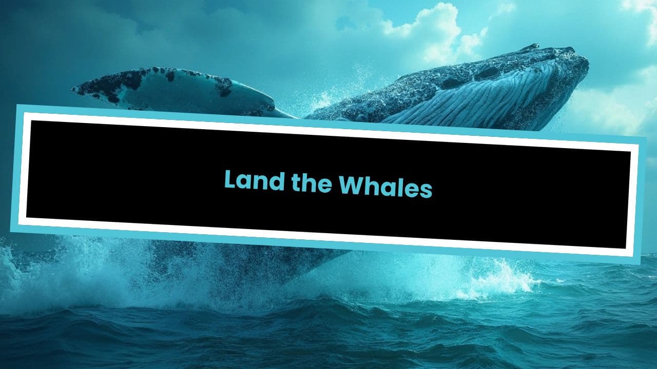 Land the Whales