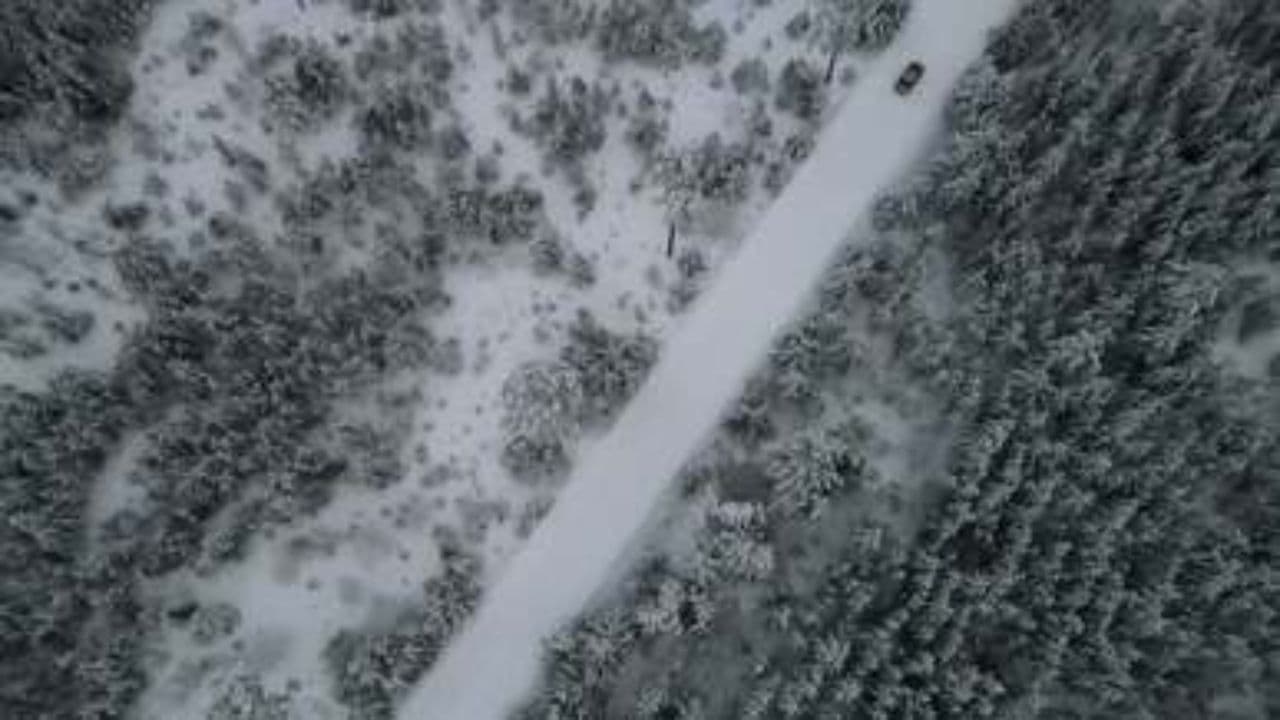 З днем народження, мій коханий!