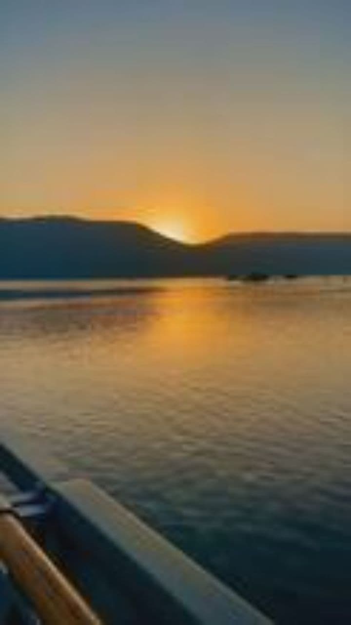 Brother's Journey Home