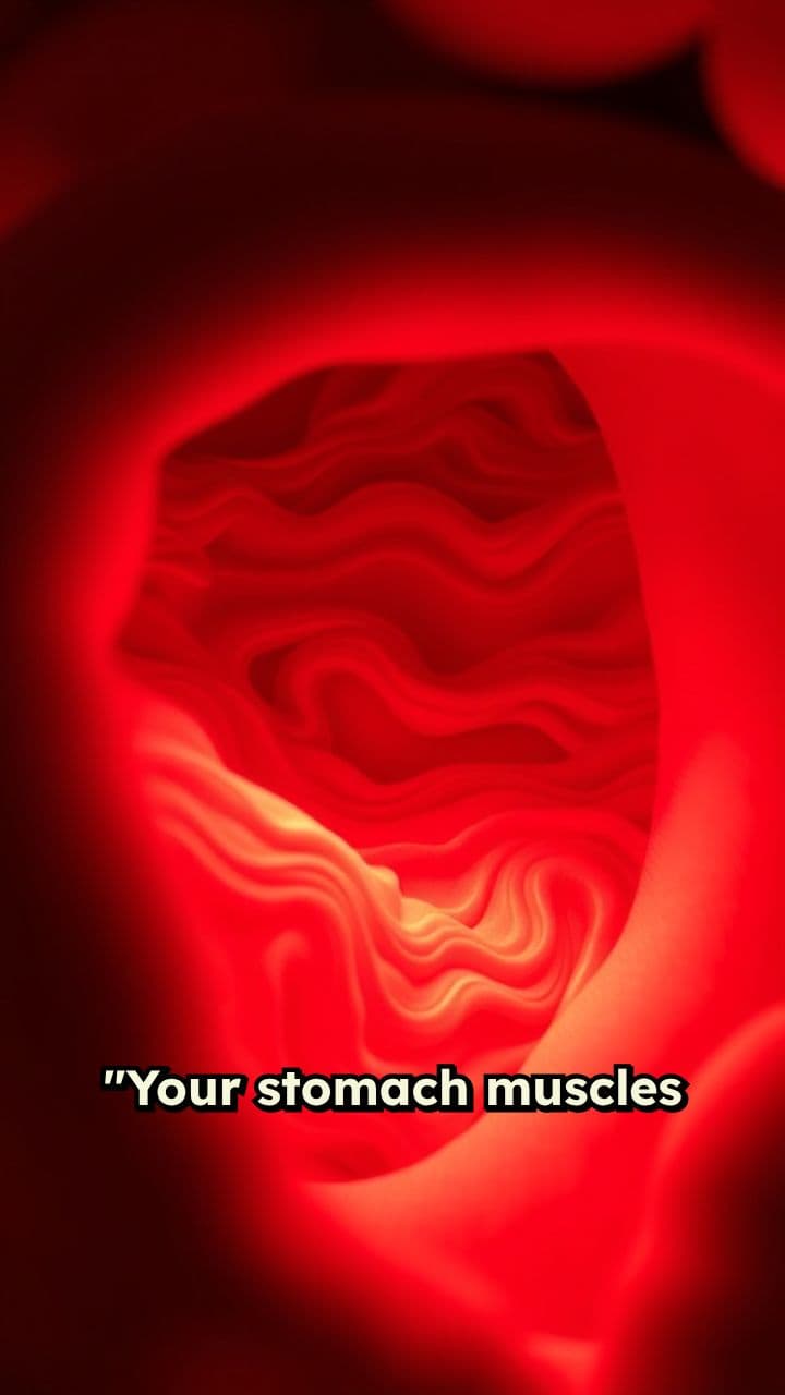 Relaxing Stomach Muscles for Smooth Digestion