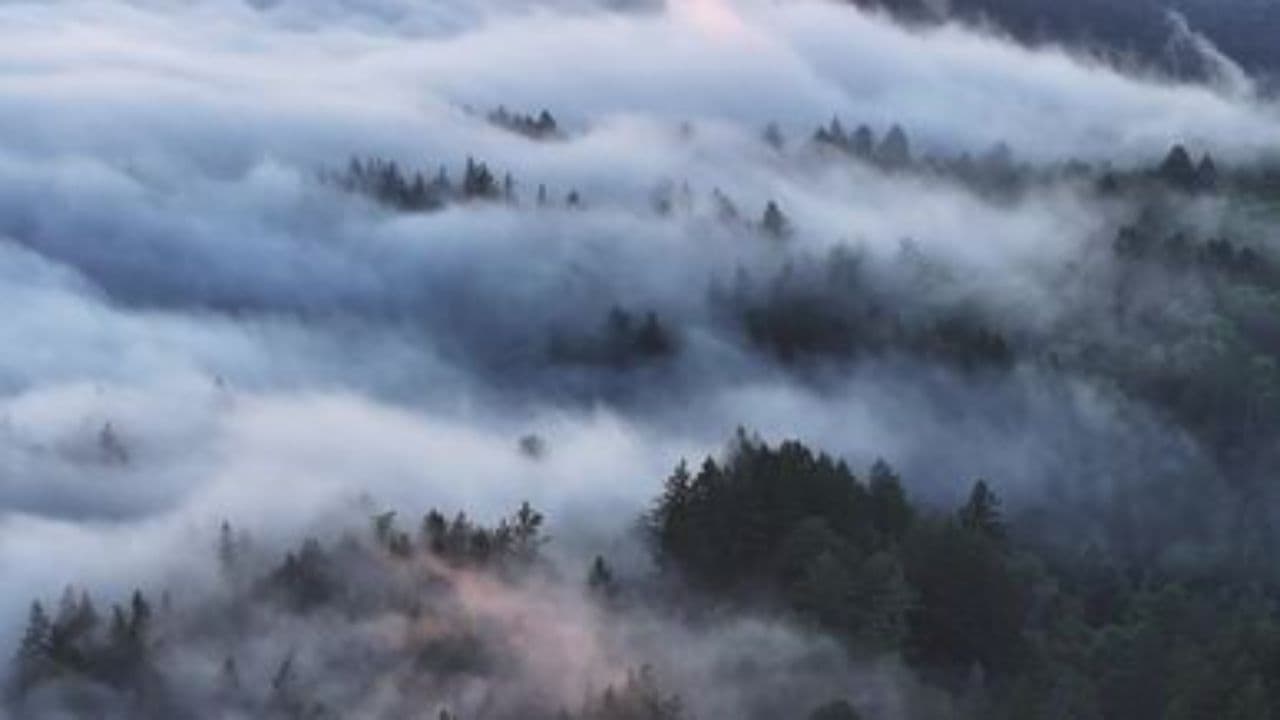 Journey Through the Age of Dinosaurs