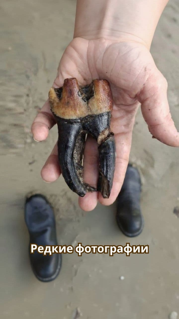 Редкие и удивительные фотографии природы