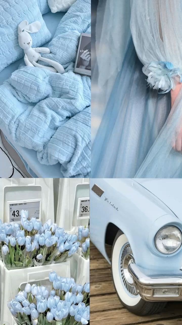 Letra de la Canción