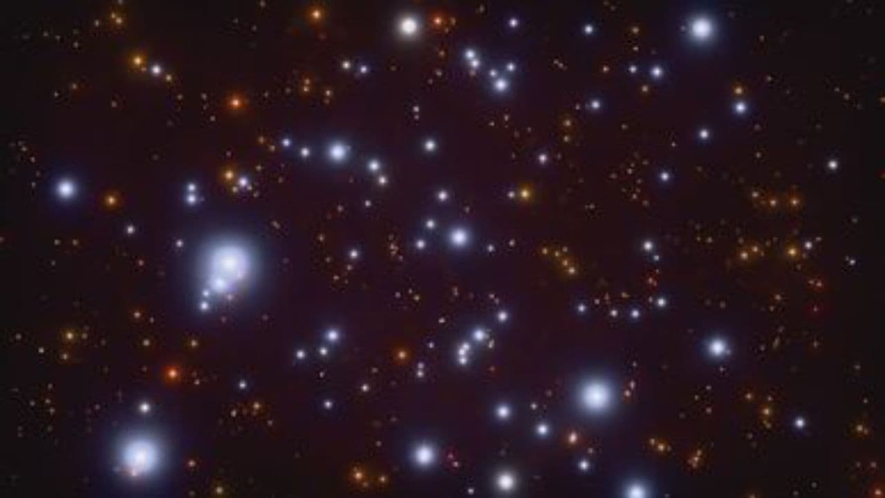 93 Eternal Reign of the Holy King