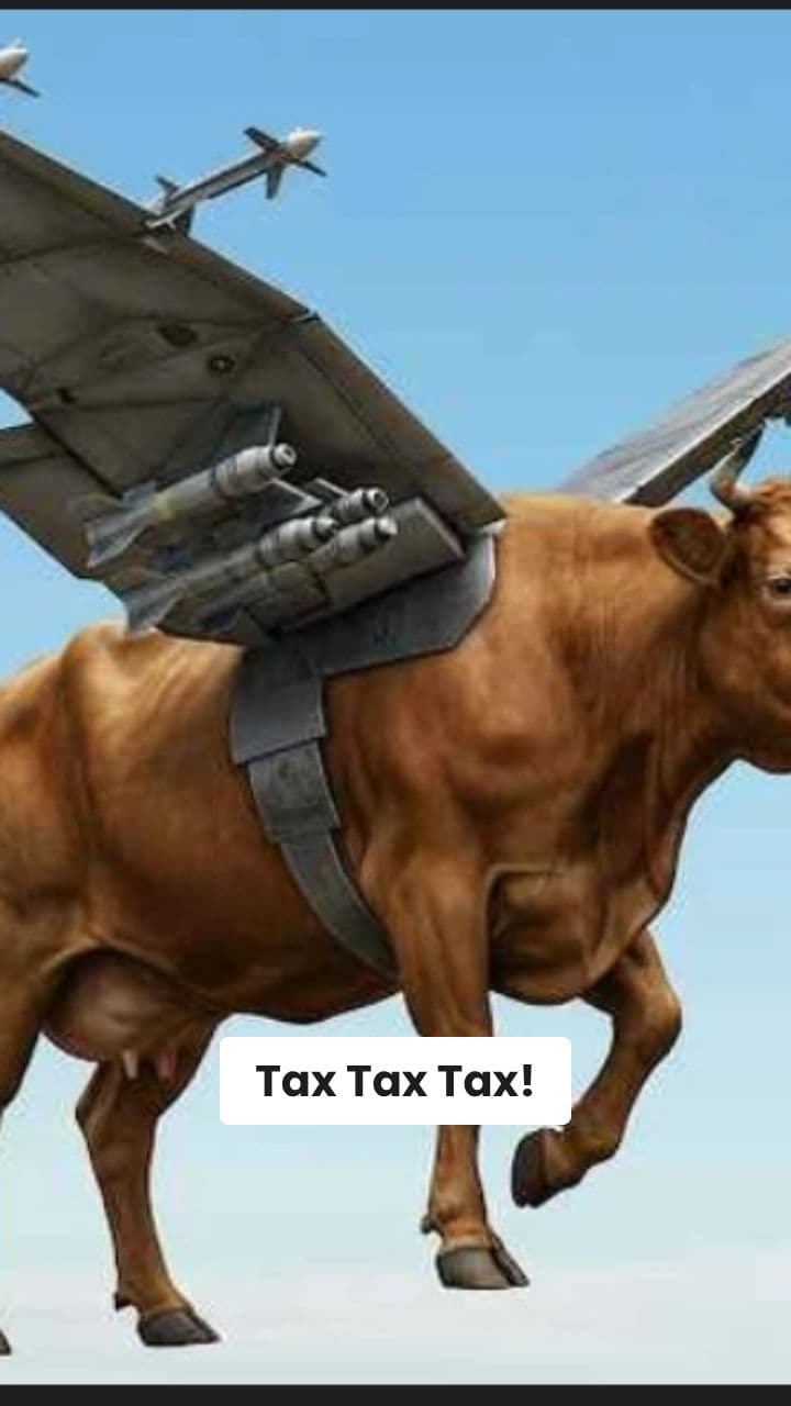 Le Avventure di Tax Tax Sahur