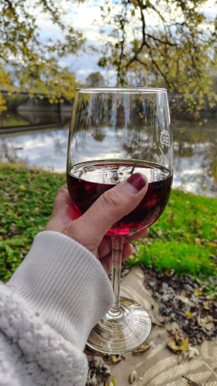 Chasing Freedom and Adventure