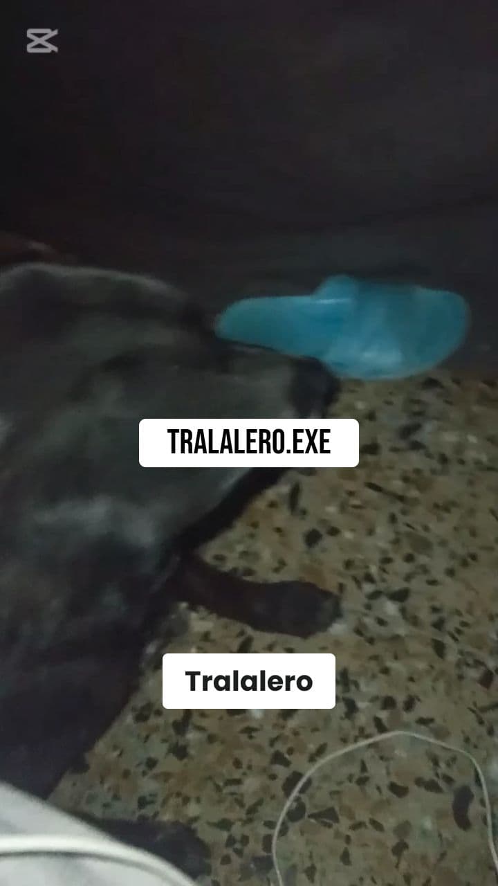 Baila Como Mongolito Mental