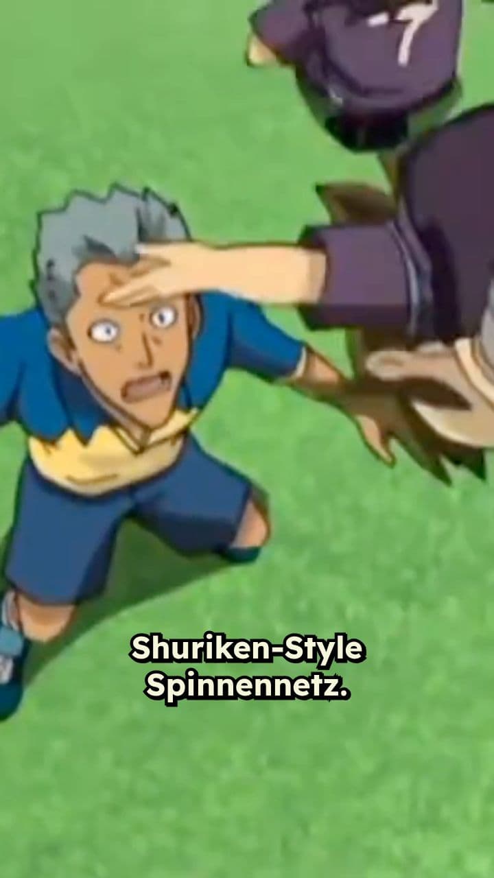 Die geheimen Ninja-Techniken