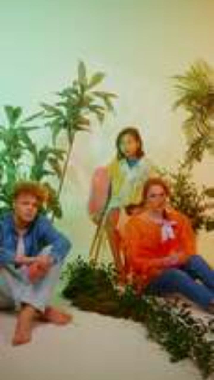 La colección de mariposas y la crueldad