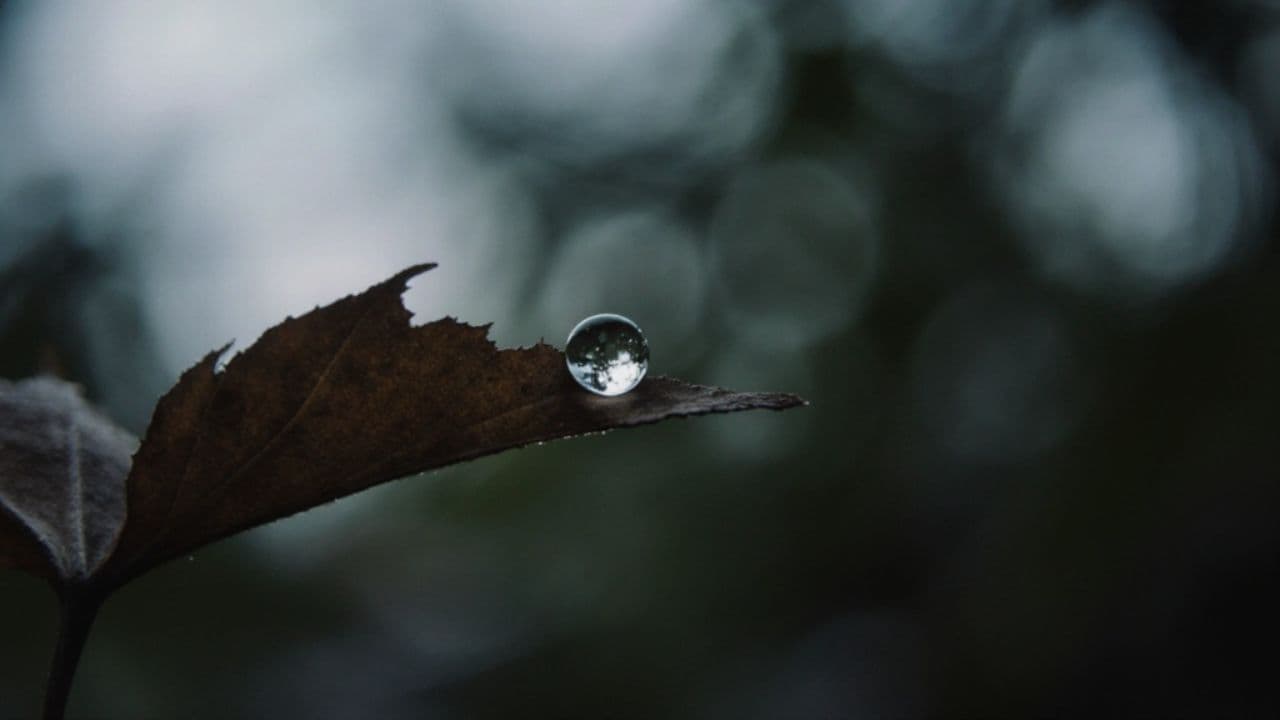 Caught in the Struggle