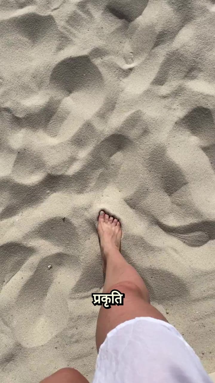 ज्ञान के पेड़ की सीख