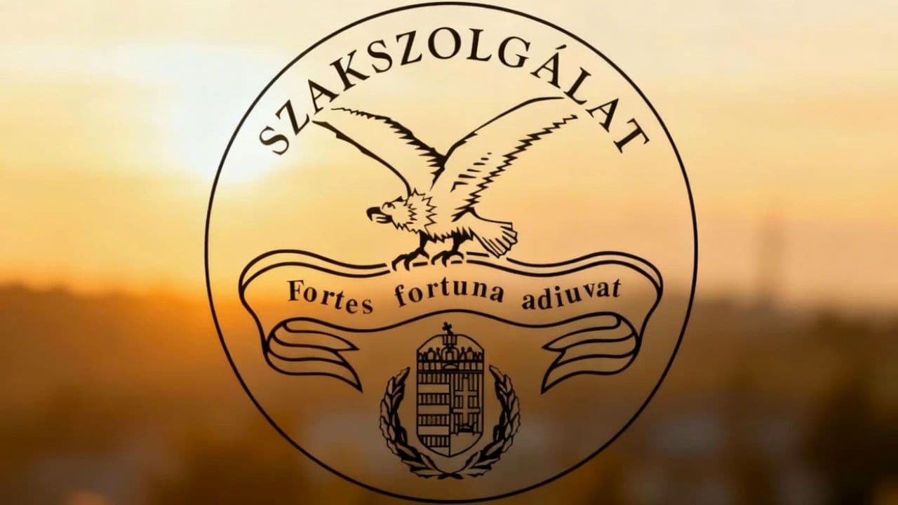 Image transform video