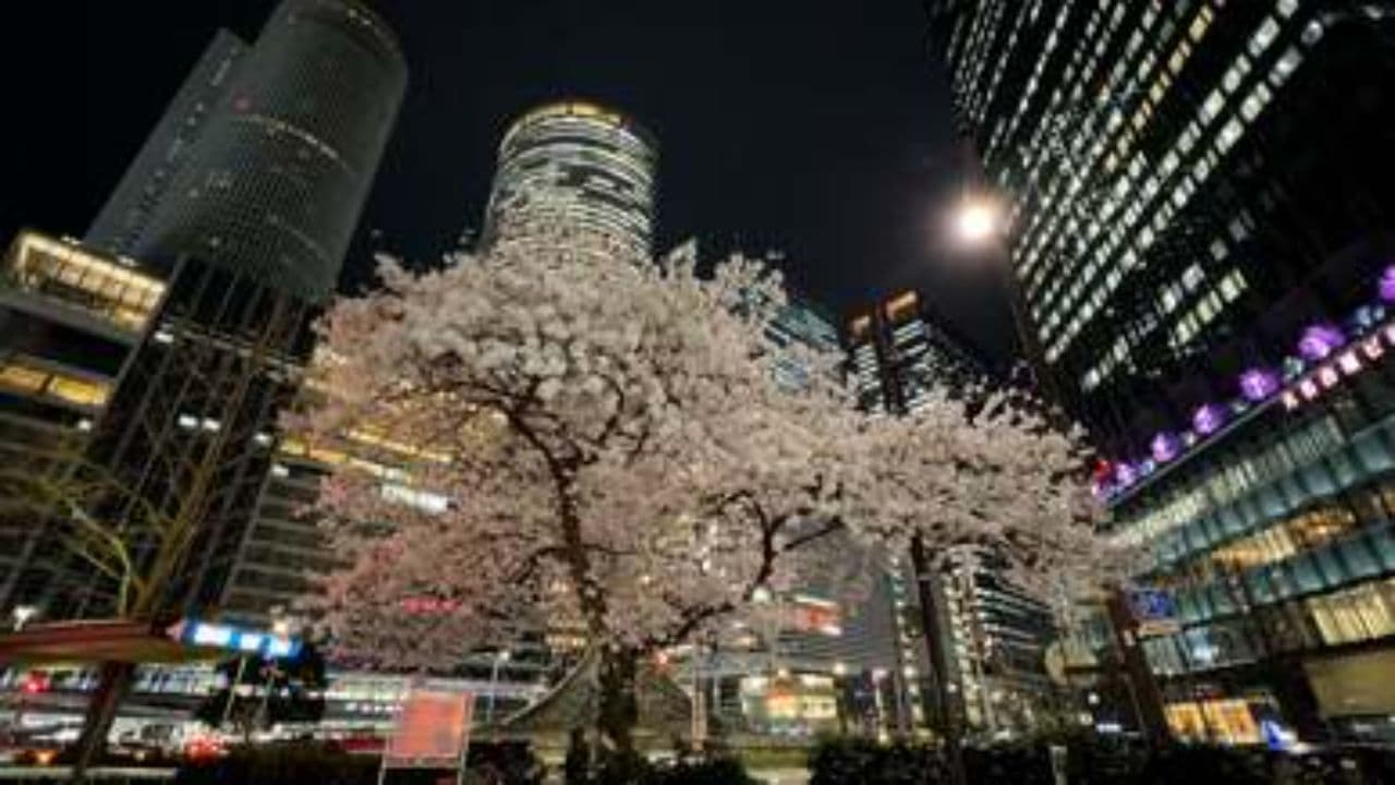 Late Night Vibe and Style