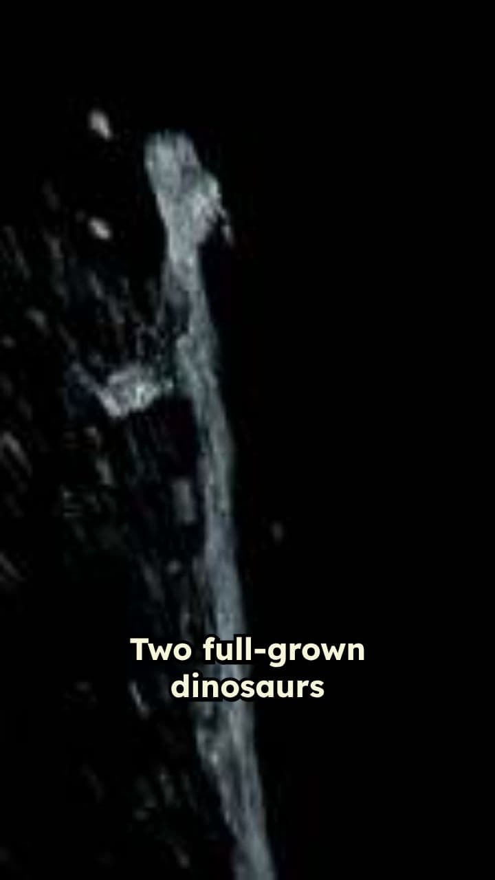 Dinosaur Pool Party Chaos at 3 AM