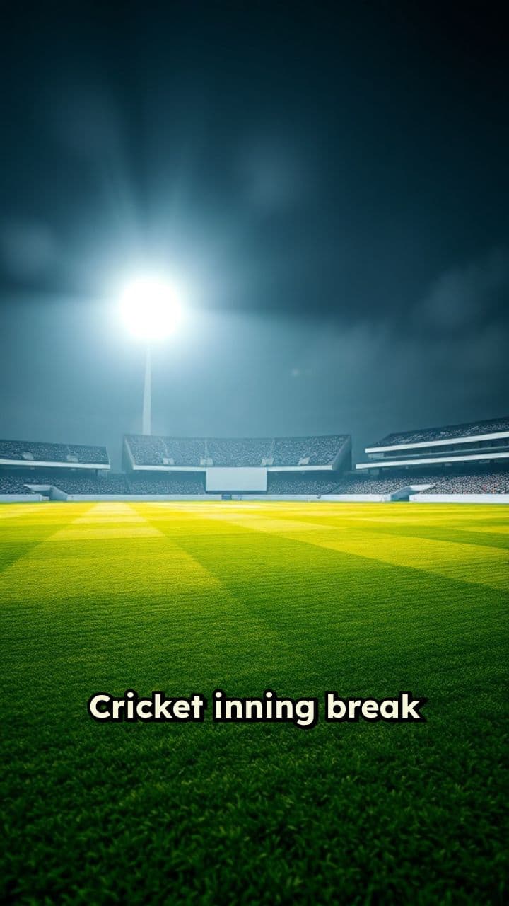 Inning Break Night Cricket Scene