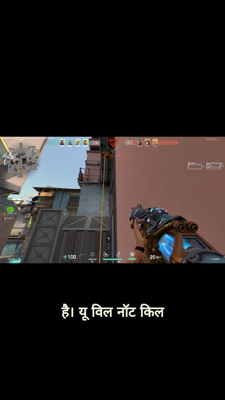 Why Did You Molly Me?