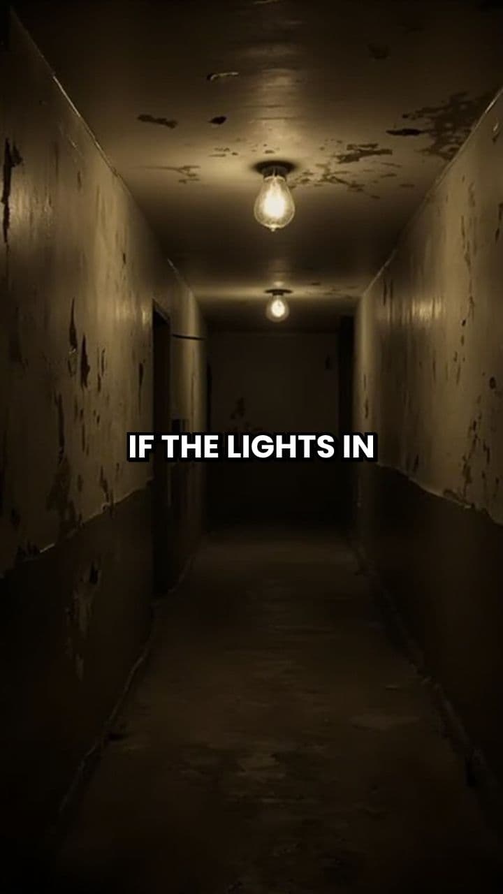 Encountering Luminis Corridora