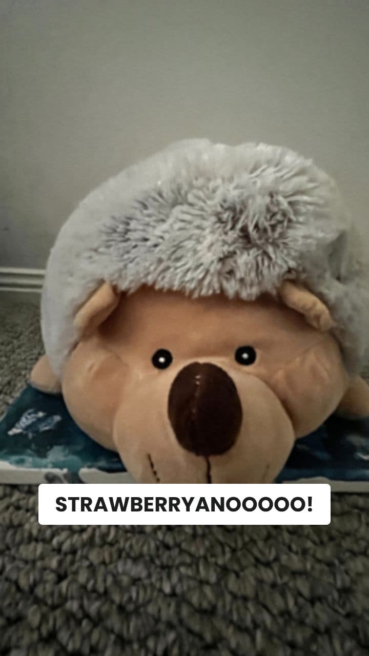 WALTERIELLI STRABERELLI: Strawberry Chaos