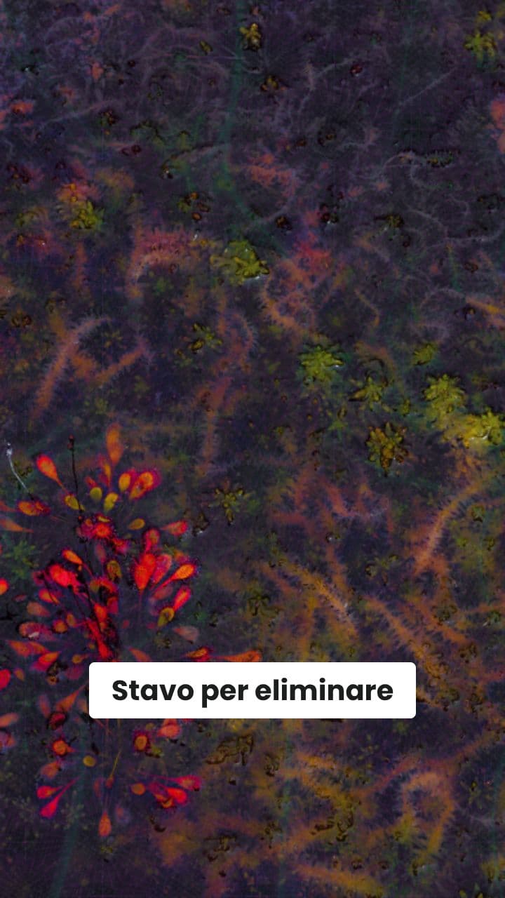 Rivela l'anima del caos