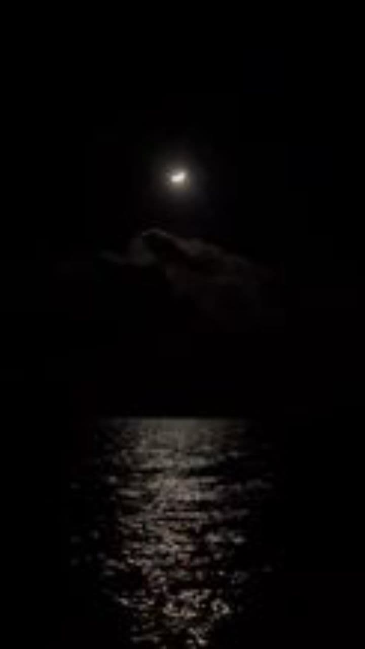 Свет в сером тумане