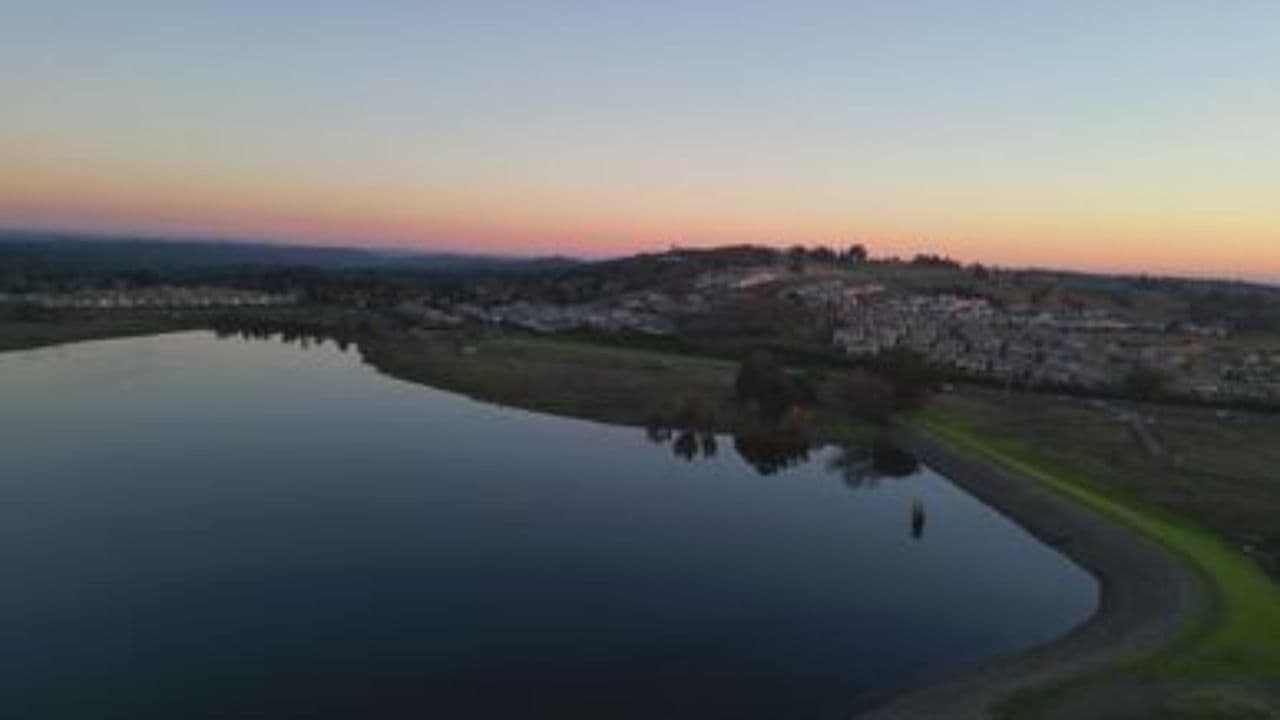 Guidance Through Clarity and Wisdom