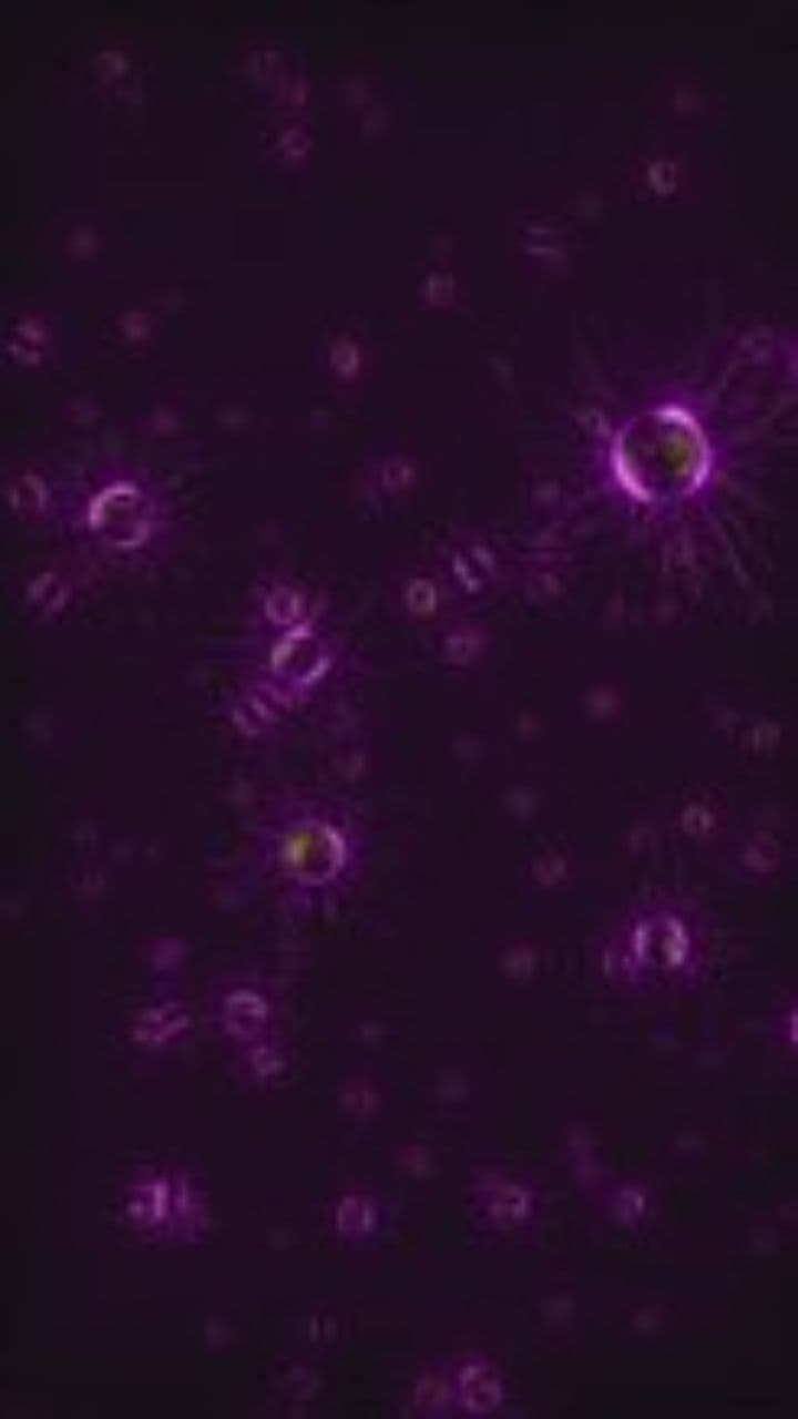 Relentless Industrial Energy