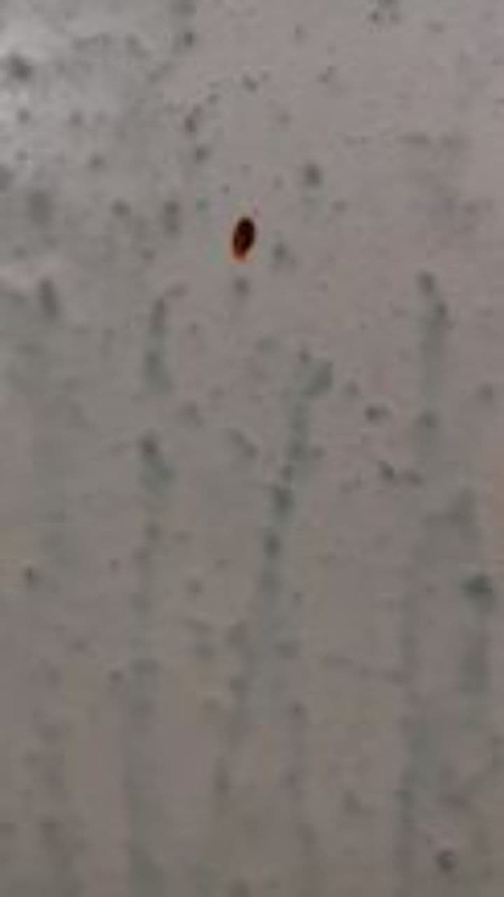 Вернитесь домой, парни