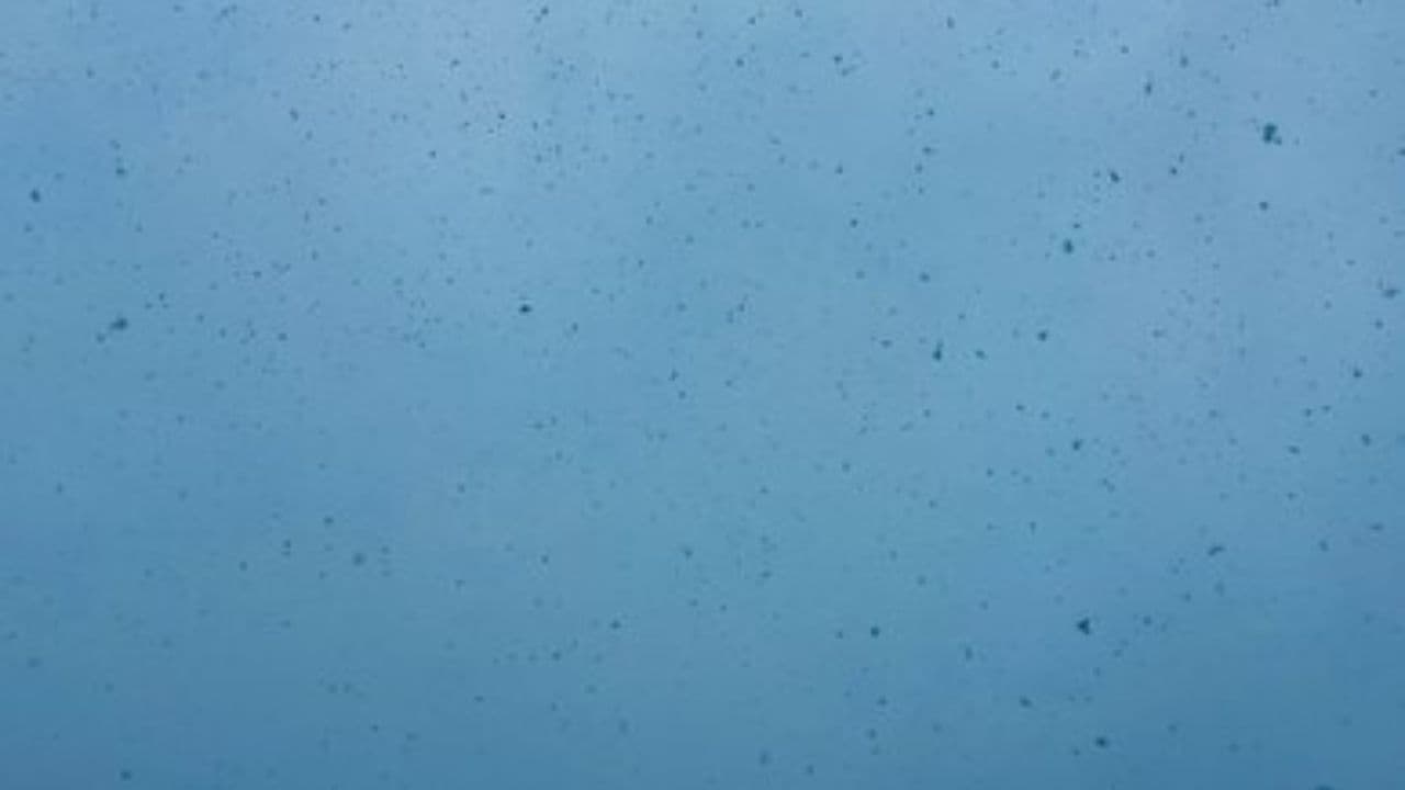 Cozy Winter Memories