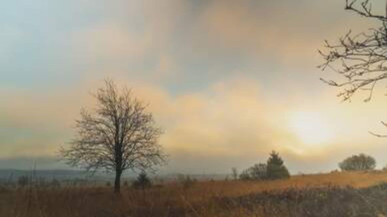 Behold the Wonder in the Night