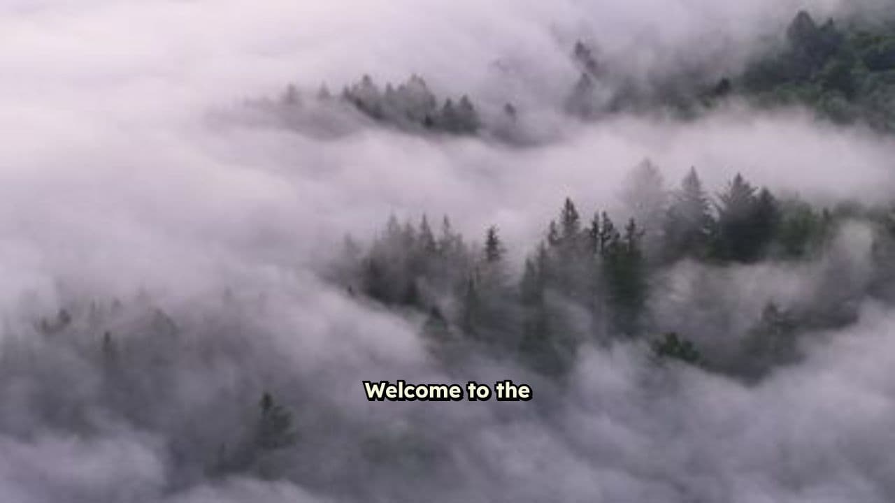 Mystical Forest Ambience