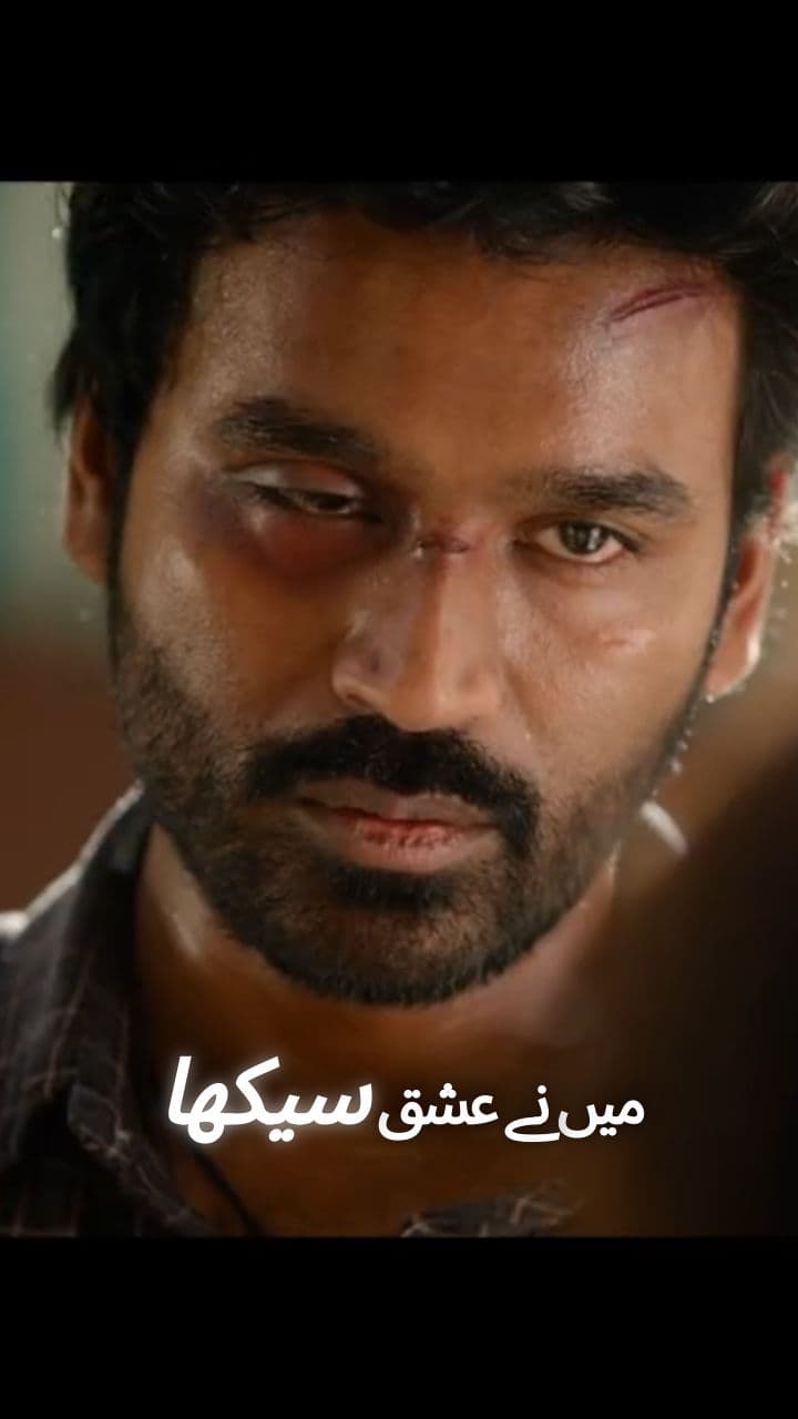 Interesting Highlight