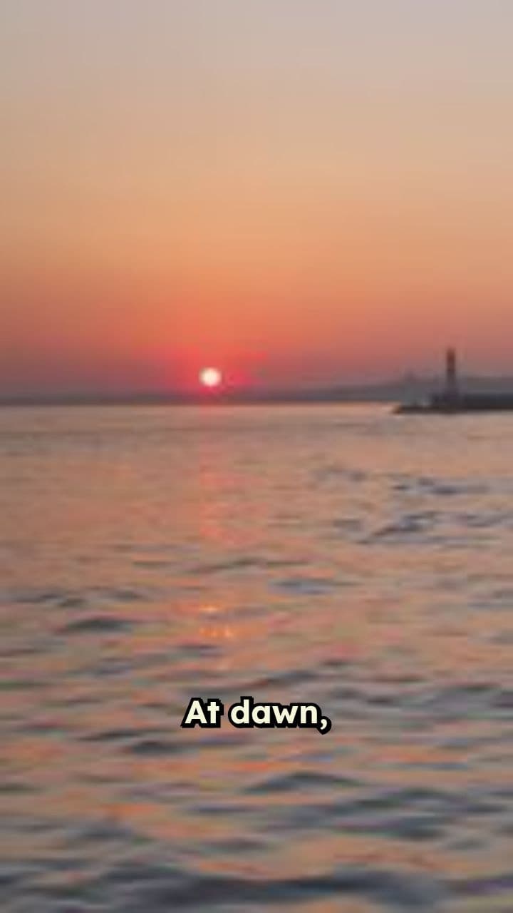 The Lighthouse's Secret