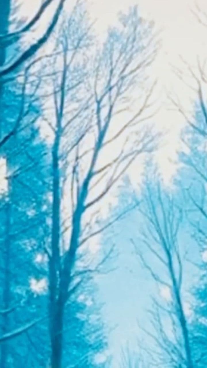 A Winter Dream Waking