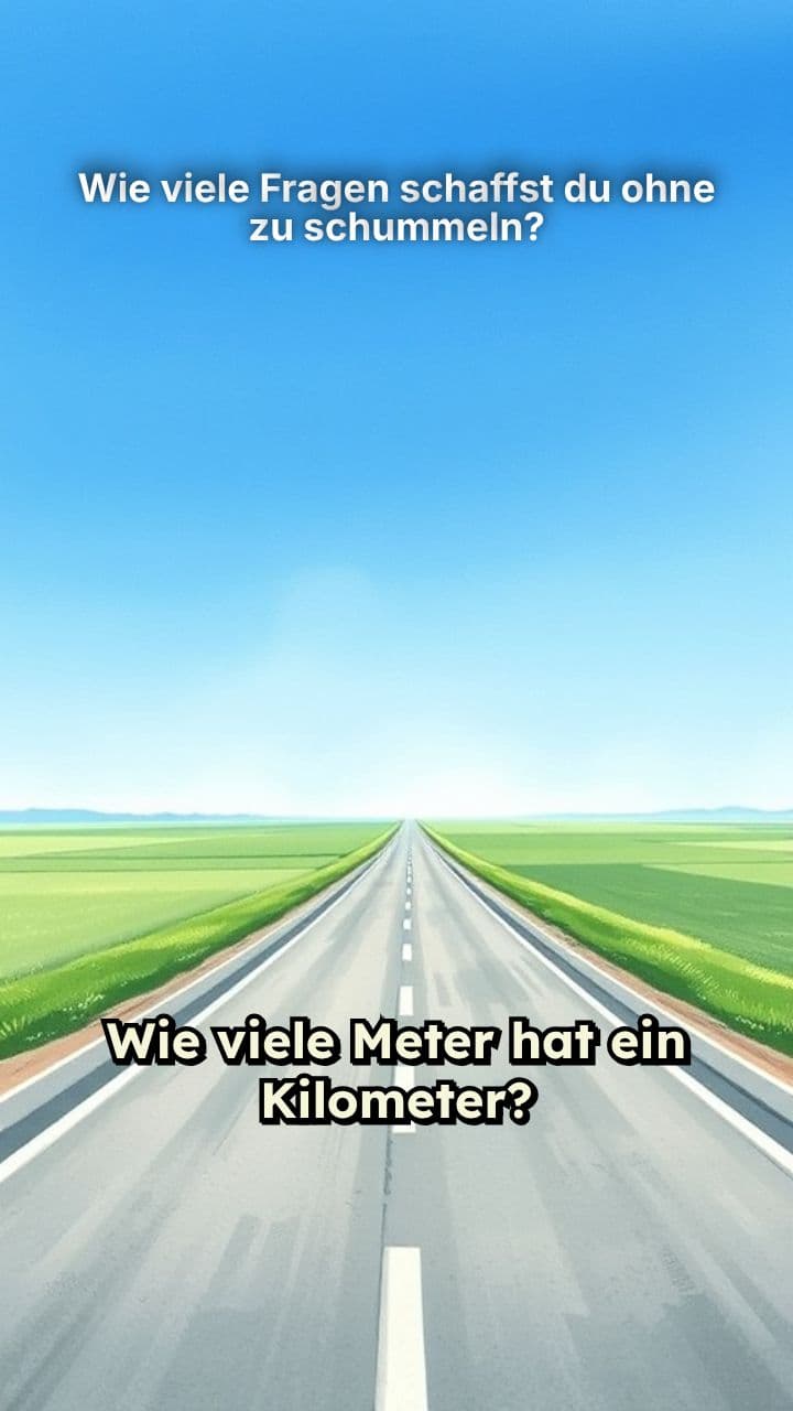 Wie viele Fragen schaffst du ohne zu schummeln?