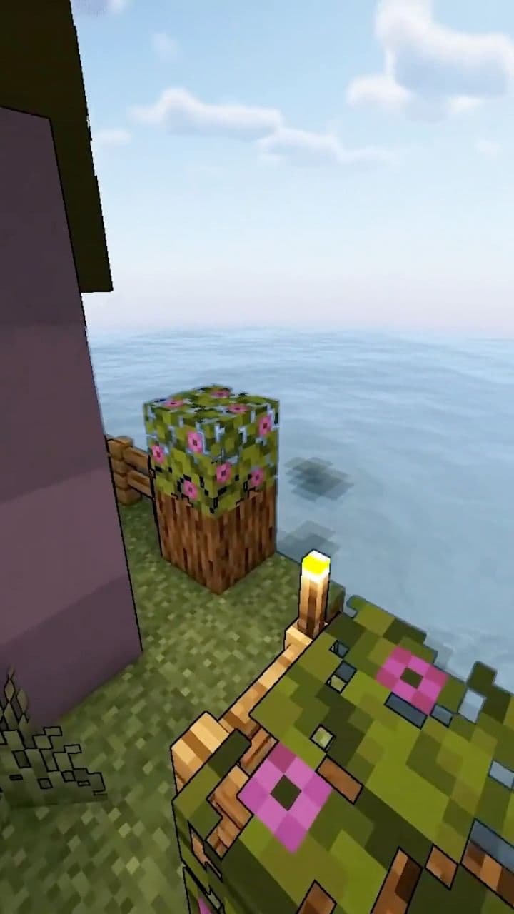 Morning Commute: A Survival Challenge