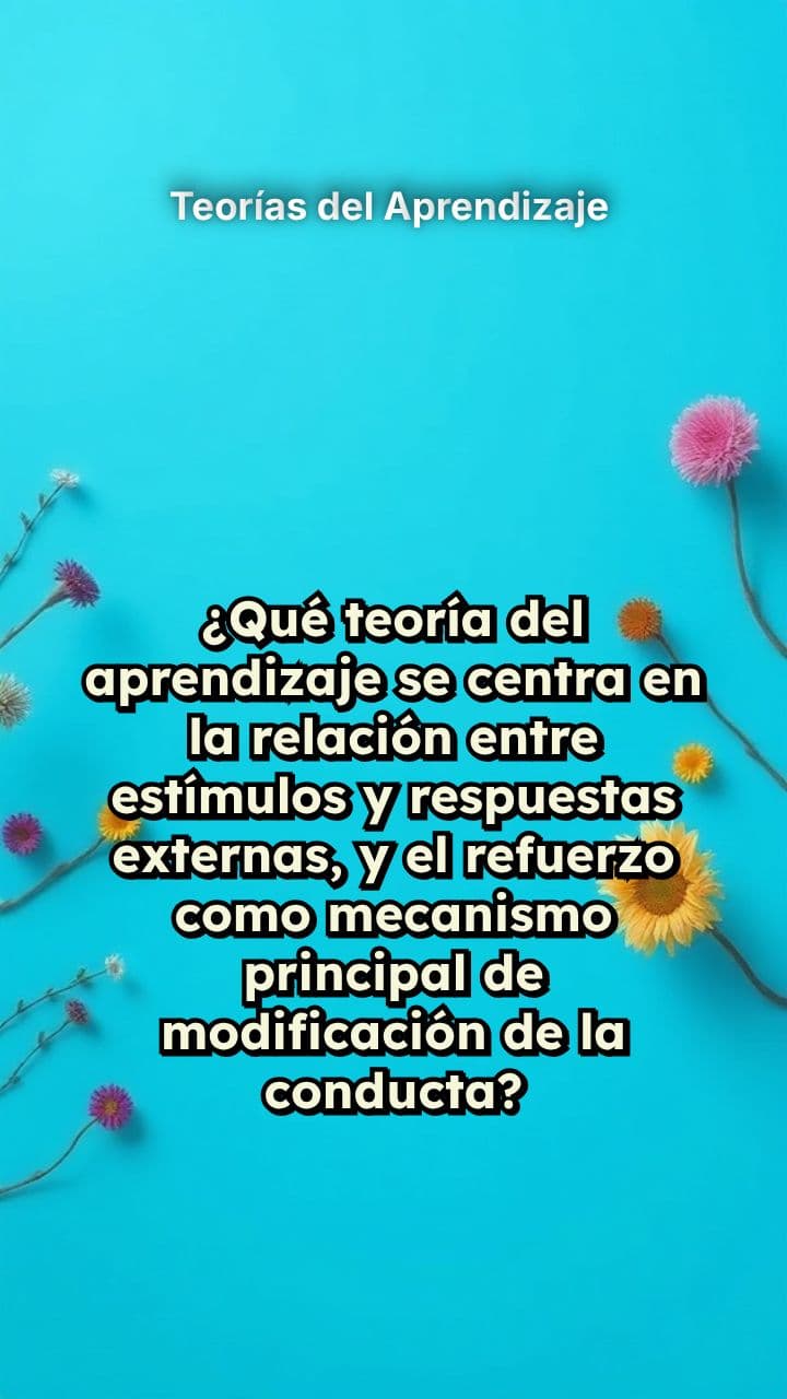 Teorías del Aprendizaje 