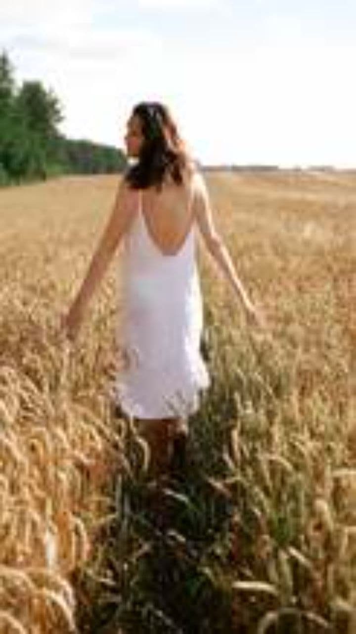 The Joyful Cow of the Meadow