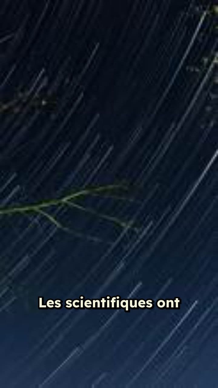 Le Mystère du Trou Noir Primordial