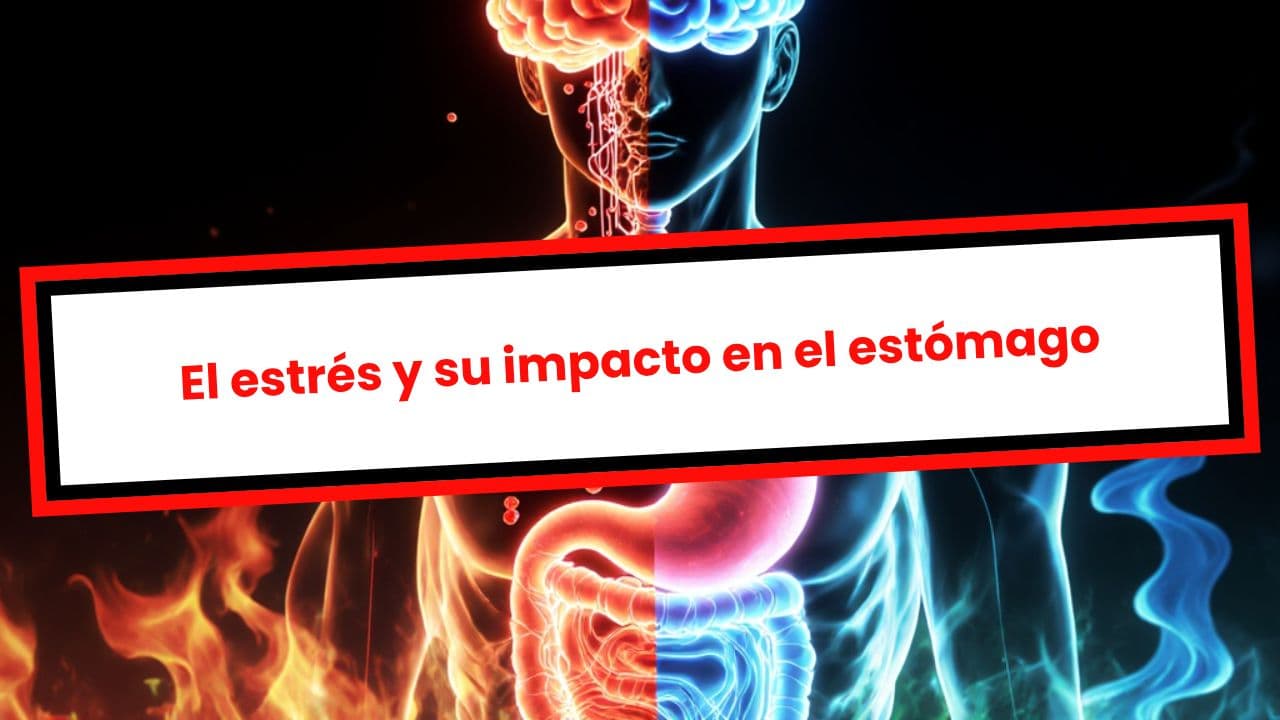 El estrés y su impacto en el estómago